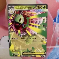 2026年最新】メガメガニウムの人気アイテム - メルカリ