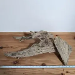 Item thumbnail for item 89589f73-5ce8-4c2b-a748-59a7d95e1a92