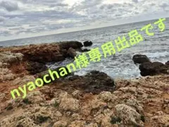 nyaochan様　専用　FOREVERMARK シンプルネックレス