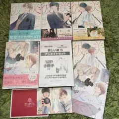 美しい彼　1〜5巻