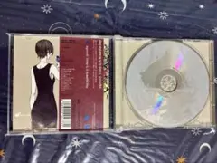 帯付 Today Is A Beautiful Day supercell