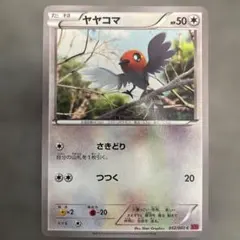 ヤヤコマ C XY1 コレクションY 052/060