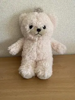 Coconist くまのぬいぐるみ