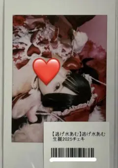 チームいちご 逃げ水あむ ランチェキ チームいちご】ランダムチェキ - DSPM公式通販