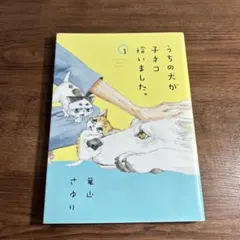 うちの犬が子ネコを拾いました。