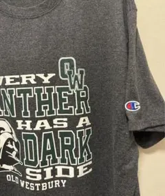 STARWARS スターウォーズ ダースベイダー×Champion TシャツXL