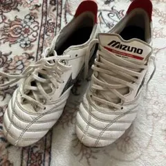 C*h様 MIZUNOモレリアネオ4 ミックスシューズメンテナンス ZERO+シ