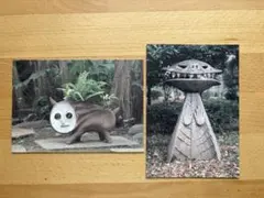 岡本太郎 犬の植木鉢 ポストカード 2枚セット
