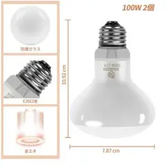 Item thumbnail for item f092133e-29d6-4453-bc18-b1bd176eabc0