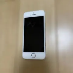 Apple iPhone 5s 本体