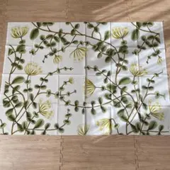 Item thumbnail for item 624b5c10-a6ab-41f9-9d69-5cc3f3e85921