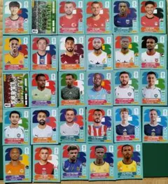 PANINI FIFA World Cup 2026 ステッカー 29枚セット