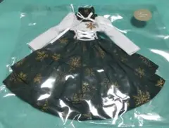 ネオブライスサイズ 洋服