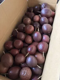 訳あり】パッションフルーツ10kg サイズまばら - メルカリ