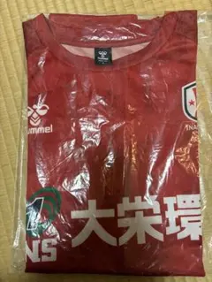 【新品】INAC神戸レオネッサ　応援Ｔシャツ Oサイズ XL LL