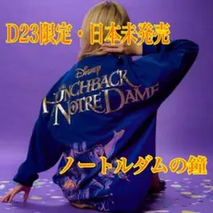 ◇パリディズニー◇スピリットジャージ エッフェル塔 おしゃれキャット