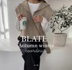 BLATE ハーフジップ ショート ニットベスト ベージュ