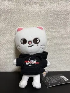 243.★StrayKids Jiniret ジニレット