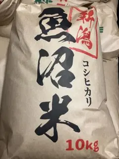 令和7年産　石川県産　 コシヒカリ約 20kg玄米(白米約18キロ) 令和7年産 石川県産 コシヒカリ約 20kg玄米(白米約18キロ) - メルカリ