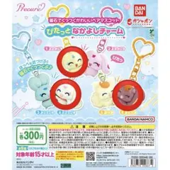 プリキュア ぴたっとなかよしチャーム 3種セット