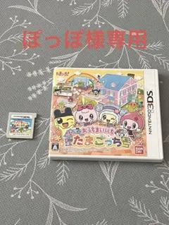 【ぽっぽ様専用】任天堂Nintendo 3DSソフト5点