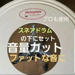 Item thumbnail for item 59af975c-72f5-4b22-8634-83c4137d2639