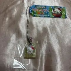 Item thumbnail for item 362f297c-85db-48e2-8489-029f78e96bef