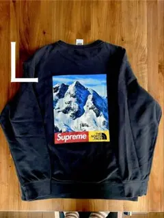 ザノースフェイス スウェット