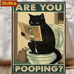 Item thumbnail for item 39b8a0db-2bbf-4277-9805-1e45075de447