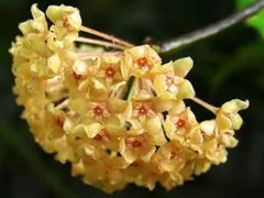 Nobita様 リクエスト 3点 まとめ商品