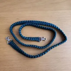 Item thumbnail for item 1e5dfb20-165c-4619-8311-39bd29fc86e8