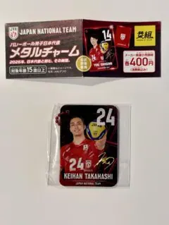 バレーボール男子日本代表 メタルチャーム 高橋 慶帆 ②