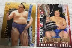 Item thumbnail for item ee4aeb72-d80f-43b6-b5f6-4870bf927087