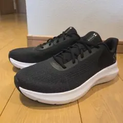 Item thumbnail for item 2ef5482e-fdbc-46bd-8b09-b2d97bcd1e0c