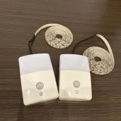 テープライト 蛍光灯・電球