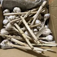 農薬不使用 ニンニク 中小 9kg - メルカリ