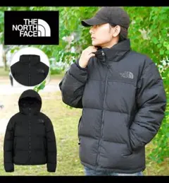 Item thumbnail for item c5b83cb3-83ee-4334-9607-2a331107be77