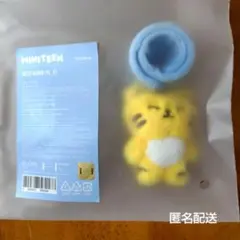 SEVENTEEN ミニティーン デコバンド ホシ タムタム