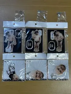◼️新品 ハリウッドザコシショウ アクリルスタンド キーホルダー 墓場の画廊