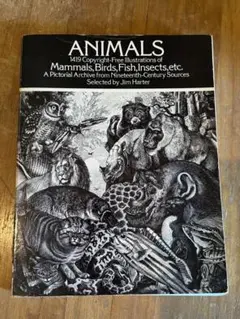 ミリー・マロッタ ぬり絵集 デラックス版「Animal Kingdom」サイン入