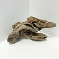 【51】アクアリウム流木