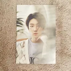 SEVENTEEN ディエイト　ポストカード