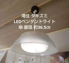 廃盤品】アートワークスタジオ ヘリオス 天井照明 ペンダントライト