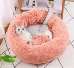 Item thumbnail for item d86ba44f-d979-4f6f-94b7-5ef705590b15