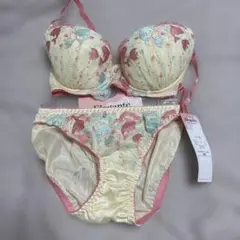 ブラジャーショーツセット