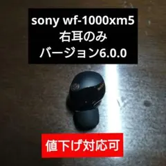 2025年最新】SONY wf-1000xm5 右耳の人気アイテム - メルカリ