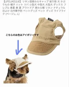 LIFELIKE リネン キャップ【新品 】アイボリーのサムネイル