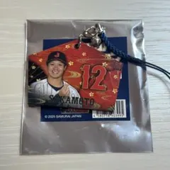 絵馬 坂本誠志郎