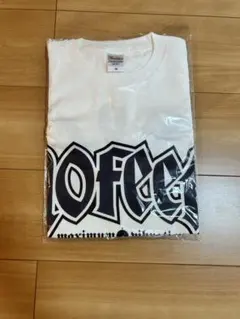 10-FEET Tシャツ Mサイズ