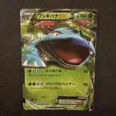 2026年最新】フシギバナexの人気アイテム - メルカリ